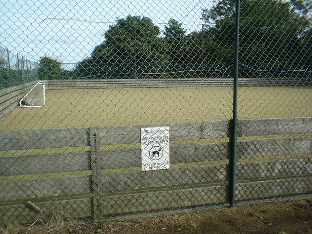 Playing field